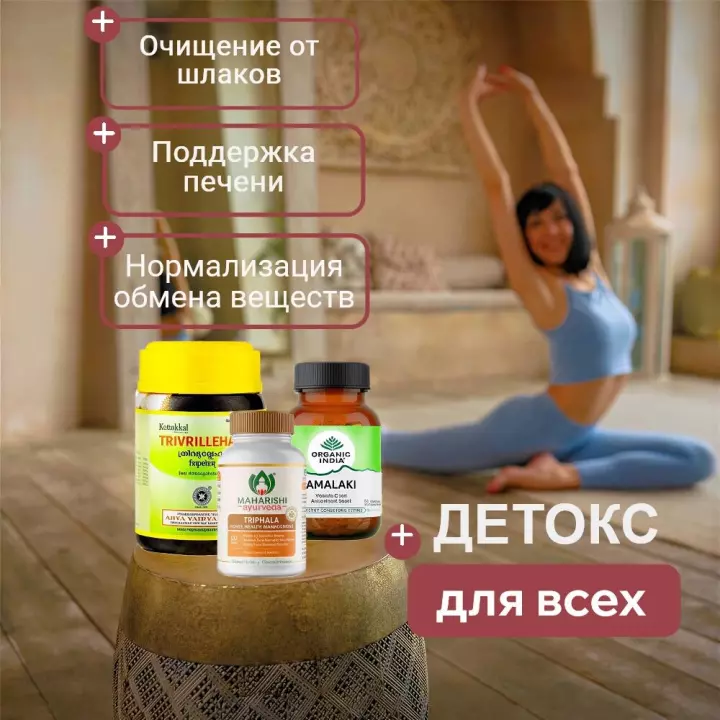 ������-��������: ���������� �������� � ���������